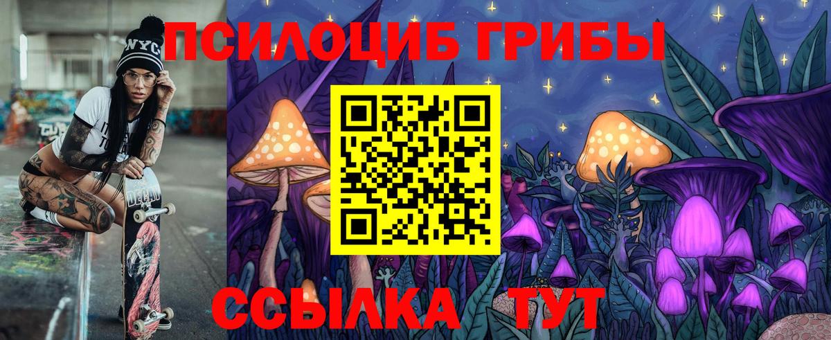 Кинель  где можно купить наркотик  Вход с VPN  Галлюциногенные грибы мицелий 