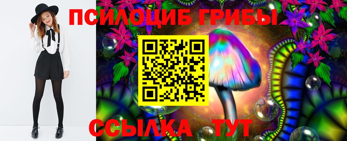 Галлюциногенные грибы мицелий Кинель